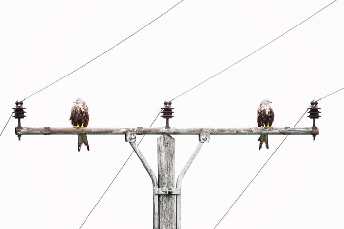 Award-winning photo titled Scenes of a Marriage