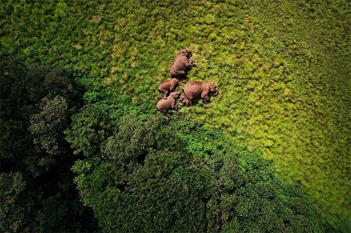 Resting in the safe arms of Mother Nature is a photo by Pravin Shanmughandam.