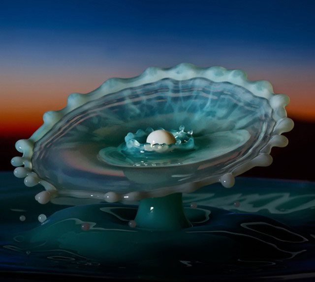 Explore stunning images of water droplets, resembling sculptures