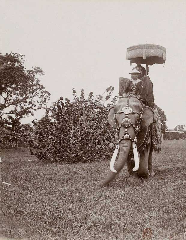 Guards riding elephants inside the Imperial City of Huế.