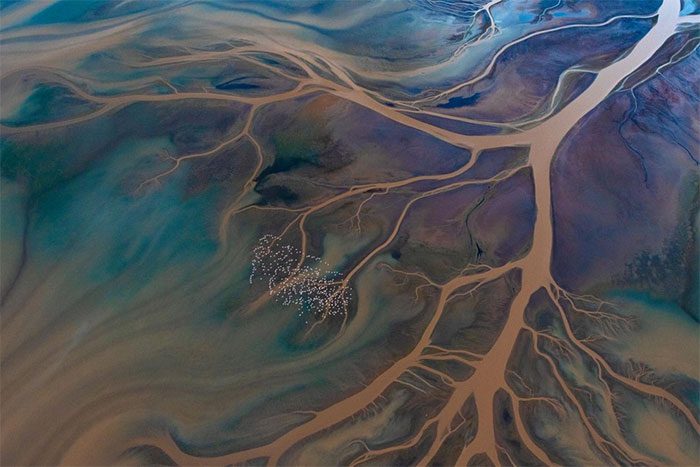 Aerial photo of river branches