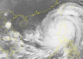 anh ve tinh bao mangkhut 650