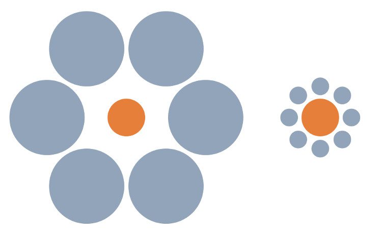 Ebbinghaus illusion, the circle on the left appears smaller than the one on the right.