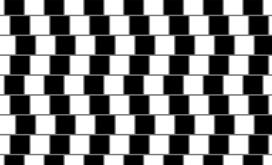 A look at various types of visual illusions that "fool" the brain