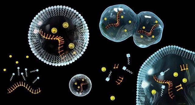 20 amino acids found in asteroid samples.