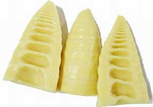 bamboo shoot