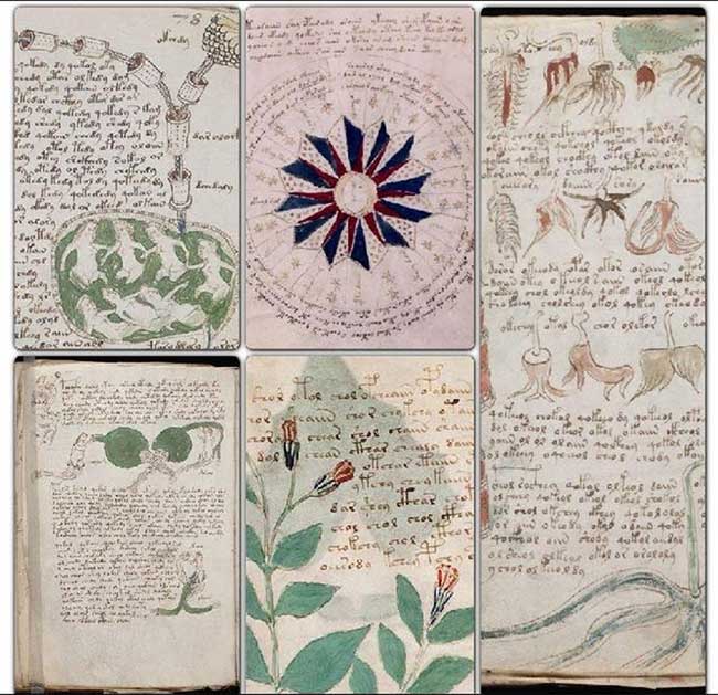 The Voynich Manuscript