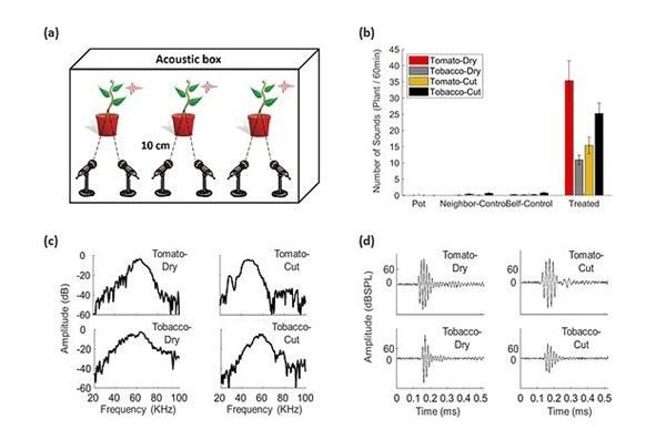 Report of the experiments conducted by scientists from Tel Aviv University.