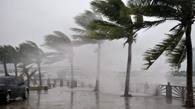 The rainy storm season typically lasts from July to November, averaging 5 - 8 storms per year.