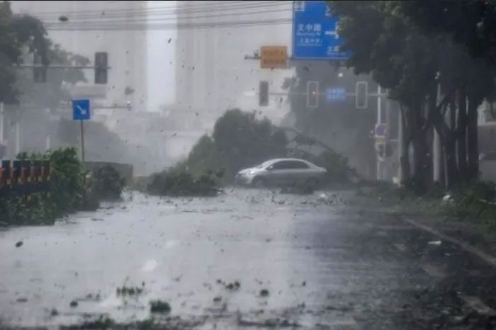 Super Typhoon Yagi uproots trees as it makes landfall on Hainan Island (China).