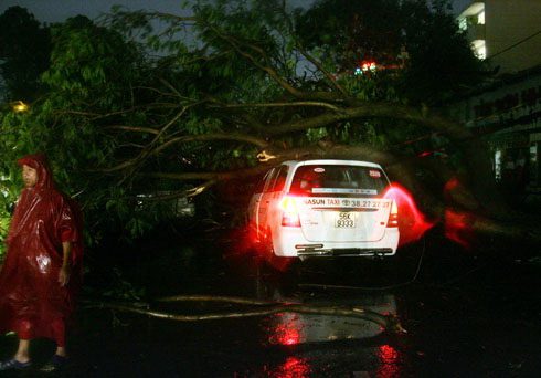 Two taxis crushed by a fallen tree at Hoàng Văn Thụ Park. (Photo: An Nhơn)