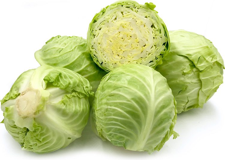 Cabbage or cruciferous vegetables are rich sources of vitamin K.