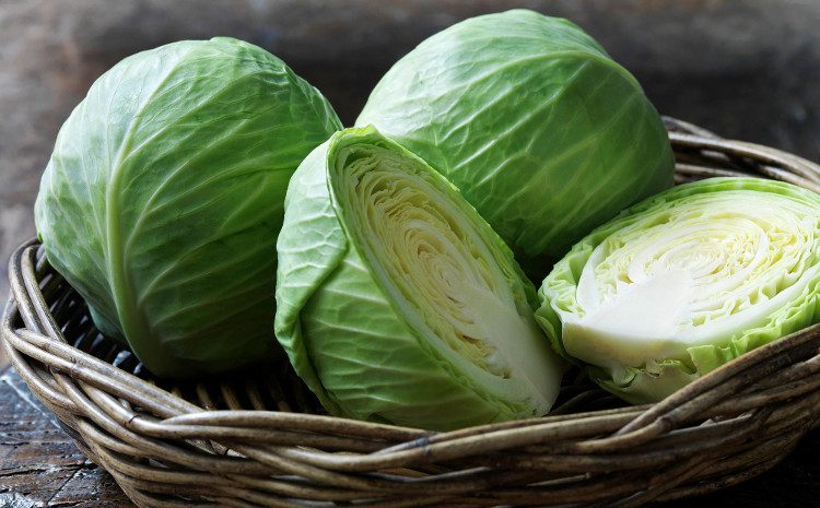 Cabbage has a higher vitamin content than many other vegetables.