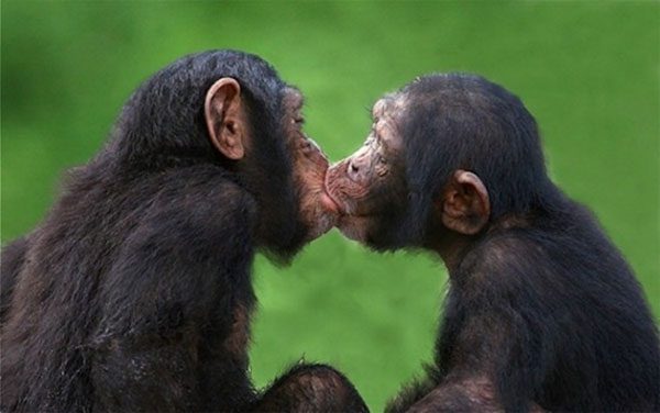10 Secrets About Kissing