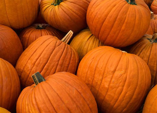 Eliminate depression, kidney stones... with pumpkin juice