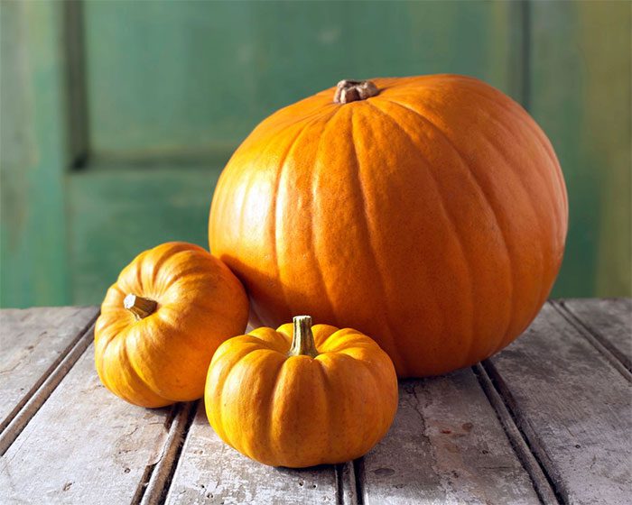 Individuals with allergic constitutions should stop consuming pumpkin if they feel discomfort