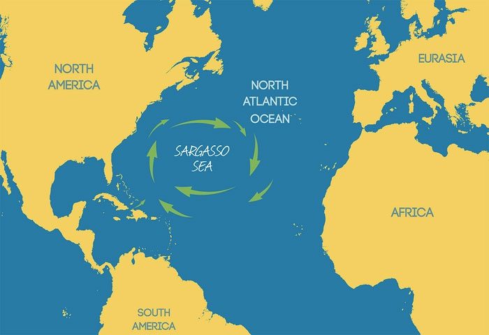 The Sargasso Sea on the map.