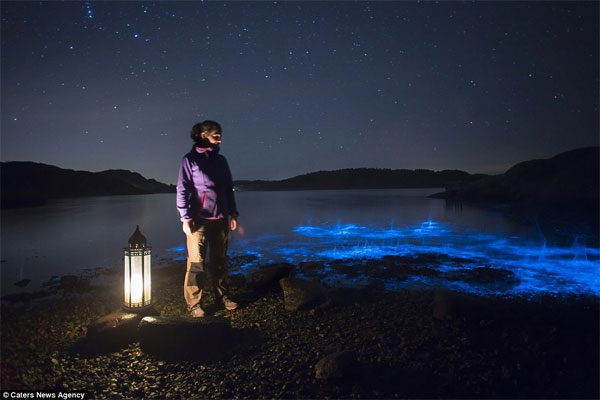 Stunning glowing sea phenomenon in Sweden