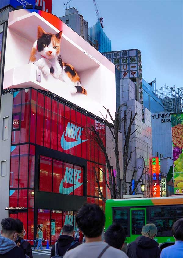 Giant 3D advertisement in Shinjuku, Tokyo