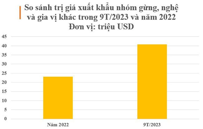 Export revenue in 2022