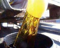 biofuel comes to the forefront of oil crisis 1689