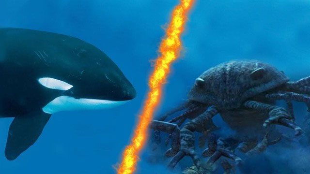 The battle between the giant sea scorpion and the Orca is a fictional match.