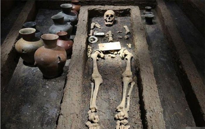 One of the skeletons found in Shandong, China.