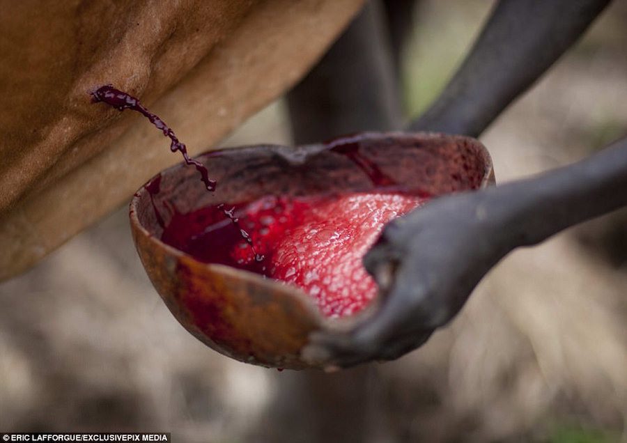 Women in the tribe are responsible for taking care of the boys by bringing wine, milk, and cow's blood in bowls or bamboo tubes daily.