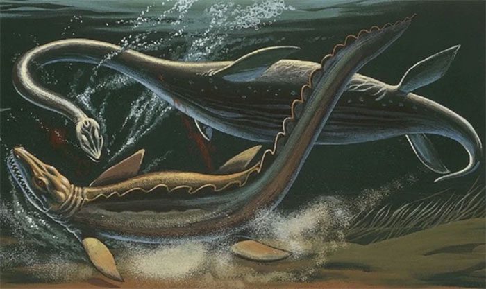 The largest predators in the ocean during the Cretaceous period were reptiles and sharks, not dinosaurs.