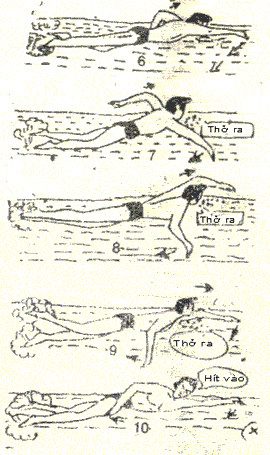 When beginning to swim, you should only swim back and forth across the pool to avoid exhaustion.