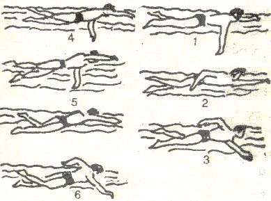 Practice swimming many times until you swim quickly and decisively.