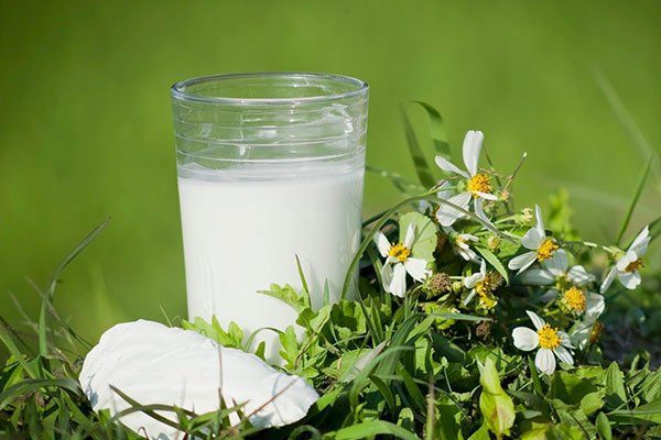 The components of cassava starch stimulate the production of estrogen (female hormone).