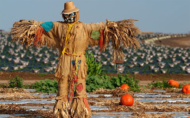 Scarecrow