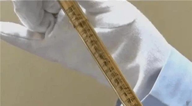 The bamboo slips written to the King of Hell found in the tomb.