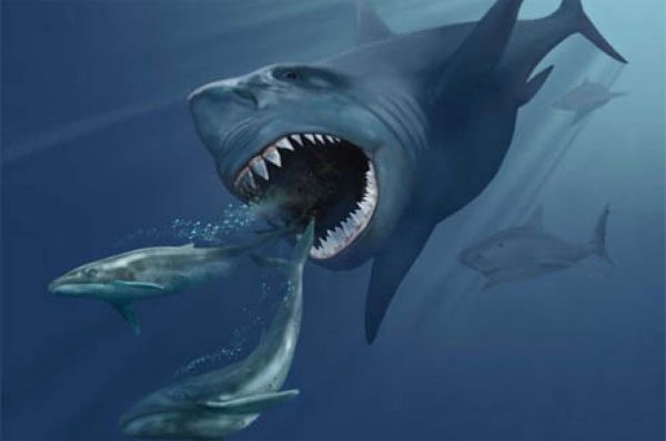 Megalodon, as we know, was a giant monster.