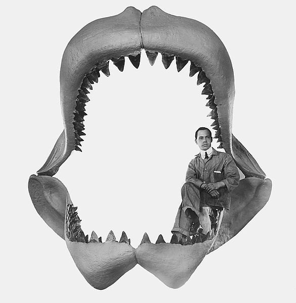 Megalodon is huge and requires a 'diet' of large creatures.