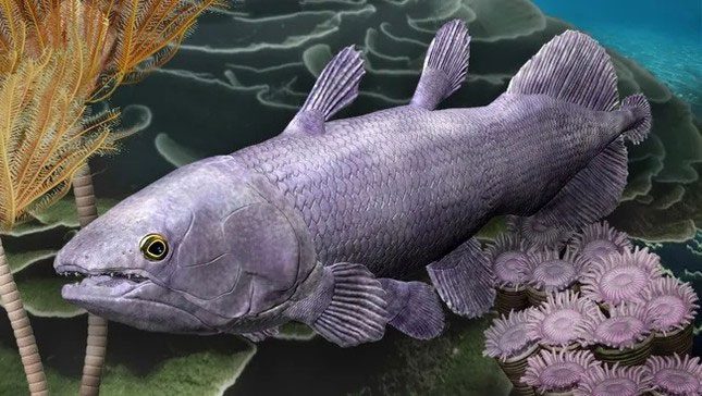 Ngamugawi wirngarri coelacanth in its Devonian coral reef habitat.