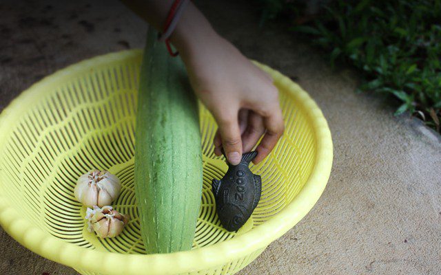 Learn about the Lucky Iron Fish and its benefits in preventing anemia