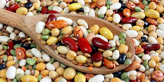 Legumes