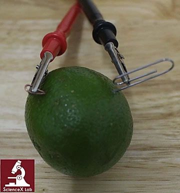 First, insert two pieces of wire or metal into the lemon