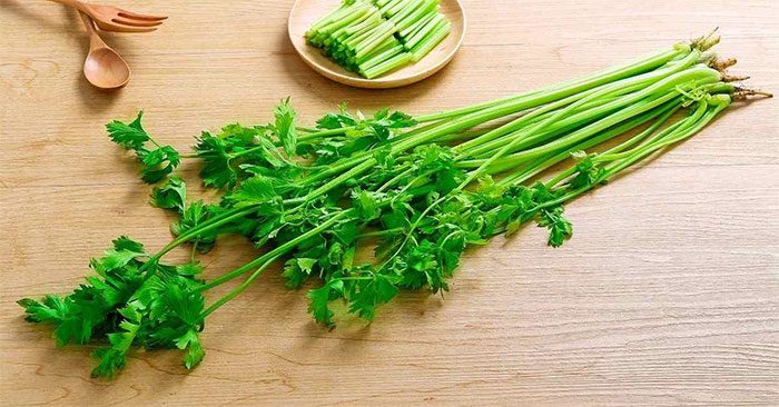 Celery contains polyacetylene compounds that help prevent cell damage.