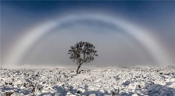 White Rainbow