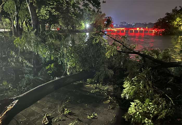 Rows of trees along the streets around Hoan Kiem Lake were devastated.