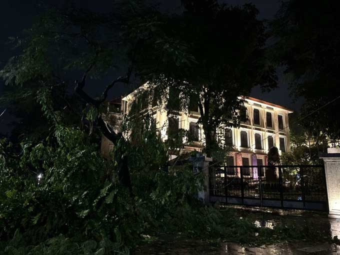 A series of trees fallen in front of the Vietnam National Museum of Fine Arts on Nguyễn Thái Học Street.