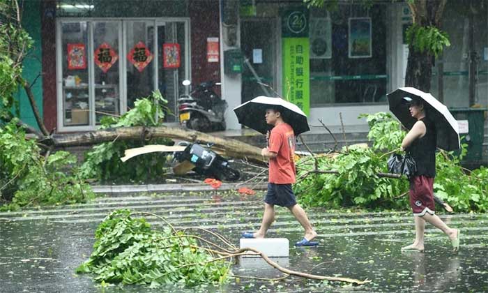 People walking past fallen trees amid strong winds and heavy rain from Typhoon Yagi