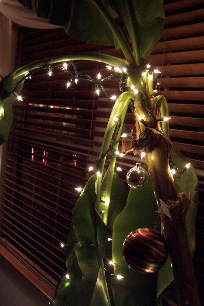 Christmas tree made from bananas