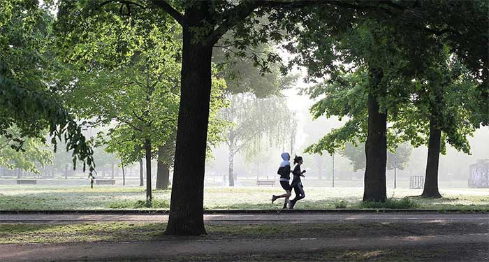 With trees, the cooling effect can also be felt in the area below