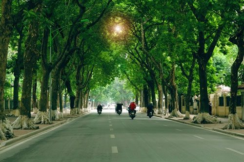 Trees are like friends to everyone, young and old.