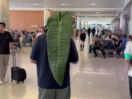 Some people recorded the scene of the young man holding the leaf and wandering at the airport.