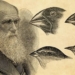 charles darwin